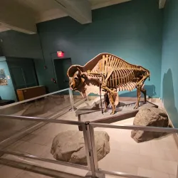Carnegie Museum of Natural History - Pittsburgh