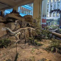 Carnegie Museum of Natural History - Pittsburgh