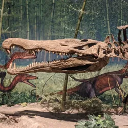 Carnegie Museum of Natural History - Pittsburgh