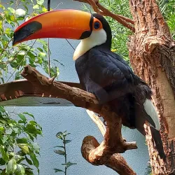 National Aviary - Pittsburgh