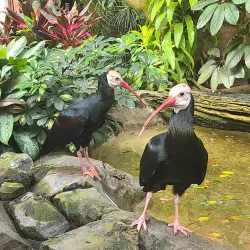 National Aviary - Pittsburgh