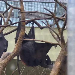 National Aviary - Pittsburgh