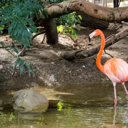 National Aviary - Pittsburgh