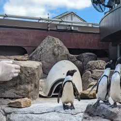 National Aviary - Pittsburgh