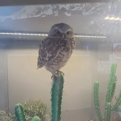 National Aviary - Pittsburgh