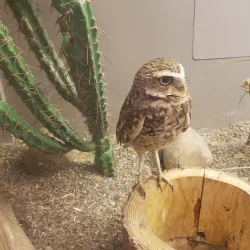 National Aviary - Pittsburgh