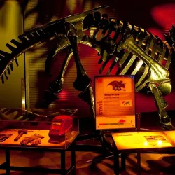 Reading Public Museum - Reading