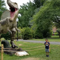 Reading Public Museum - Reading