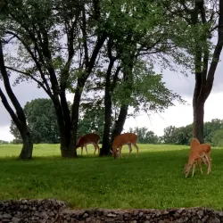 Core Creek Park - Richboro
