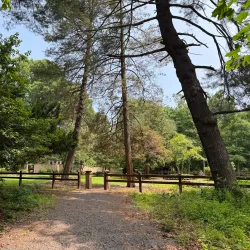 Neshaminy State Park - Richboro