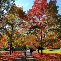 Neshaminy State Park - Richboro