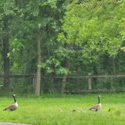 Silver Lake Nature Center - Richboro