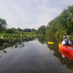 Silver Lake Nature Center - Richboro