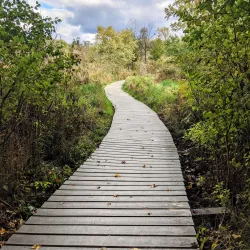 Silver Lake Nature Center - Richboro