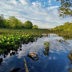 Silver Lake Nature Center - Richboro