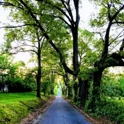 Downtown Royersford - Royersford