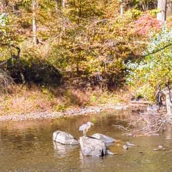 Perkiomen Trail - Royersford