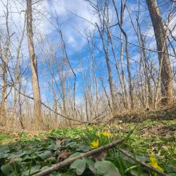 Perkiomen Trail - Royersford