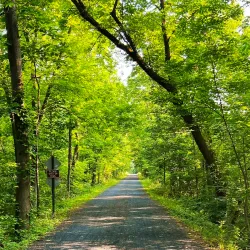 Perkiomen Trail - Royersford