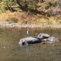 Perkiomen Trail - Royersford