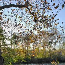 Riverfront Park - Royersford