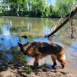 Riverfront Park - Royersford