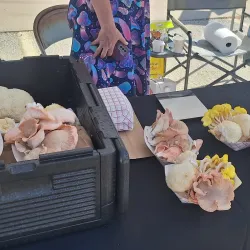 Royersford Farmers Market - Royersford