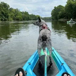 Schuylkill River Kayaking and Canoeing - Royersford