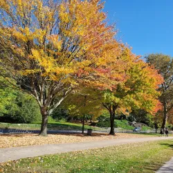 Schuylkill River Trail - Royersford