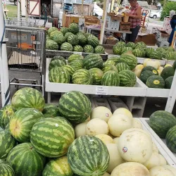 Selinsgrove Farmers Market - Selinsgrove