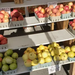 Selinsgrove Farmers Market - Selinsgrove