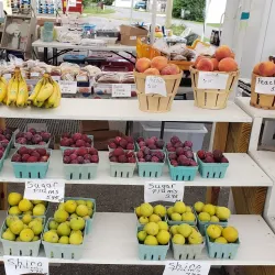 Selinsgrove Farmers Market - Selinsgrove