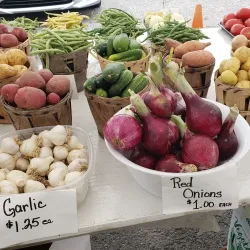 Selinsgrove Farmers Market - Selinsgrove