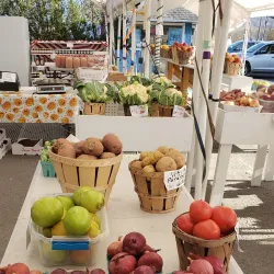 Selinsgrove Farmers Market - Selinsgrove