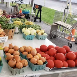 Selinsgrove Farmers Market - Selinsgrove