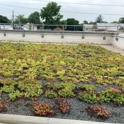 Selinsgrove Public Library - Selinsgrove