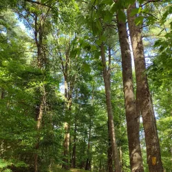 Shikellamy State Park - Selinsgrove