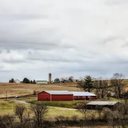 Susquehanna River - Selinsgrove