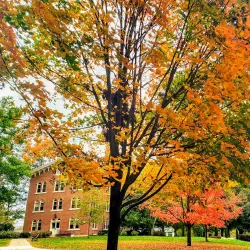 Susquehanna University - Selinsgrove