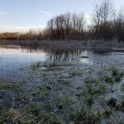 Shippensburg Community Park - Shippensburg