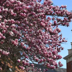 Shippensburg University of Pennsylvania - Shippensburg