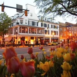 Downtown State College - State College