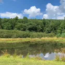Rothrock State Forest - State College