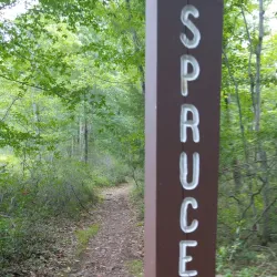 Rothrock State Forest - State College