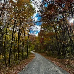 Rothrock State Forest - State College