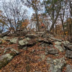 Rothrock State Forest - State College