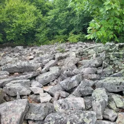 Rothrock State Forest - State College