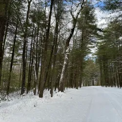 Rothrock State Forest - State College