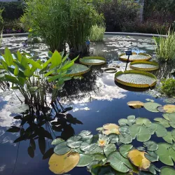 The Arboretum at Penn State - State College