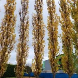 The Arboretum at Penn State - State College